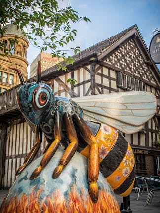 Manchester #Beeinthecity - Artist: Barry Spence